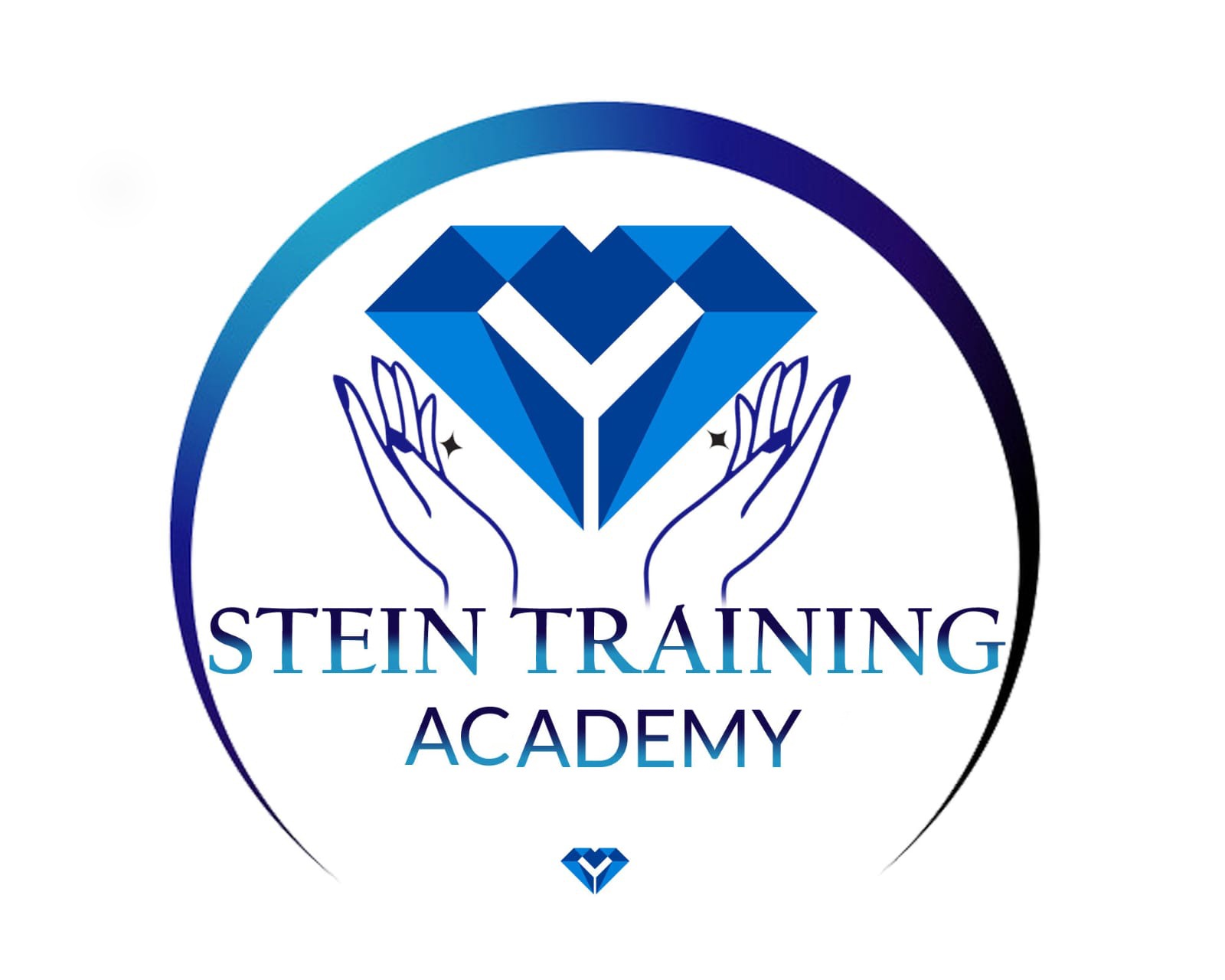 STEIN Training Academy Logo